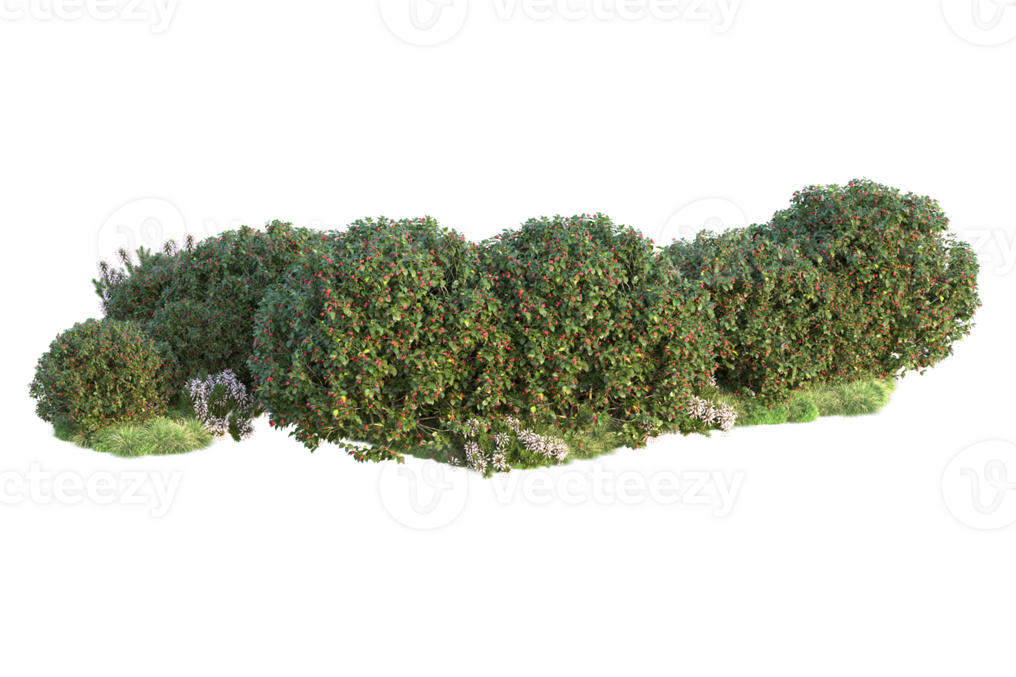 Tropical forest isolated on transparent background. 3d rendering - illustration png