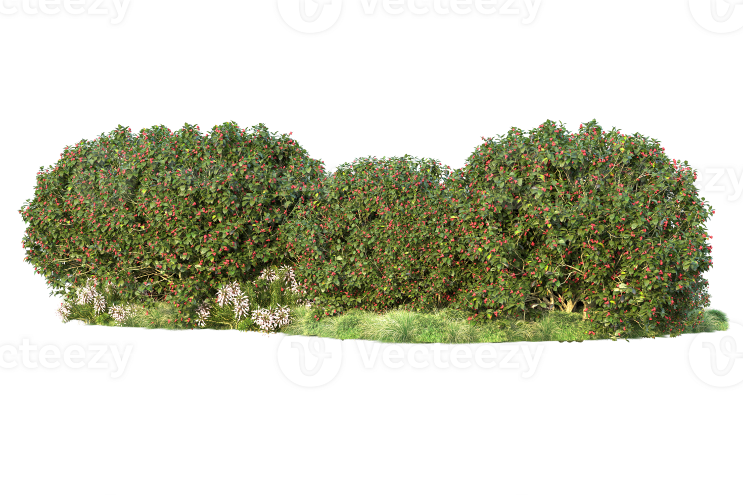 Tropical forest isolated on transparent background. 3d rendering - illustration png
