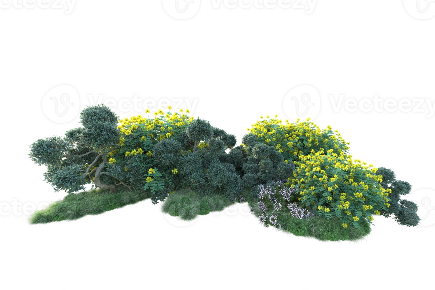 Tropical forest isolated on transparent background. 3d rendering - illustration png