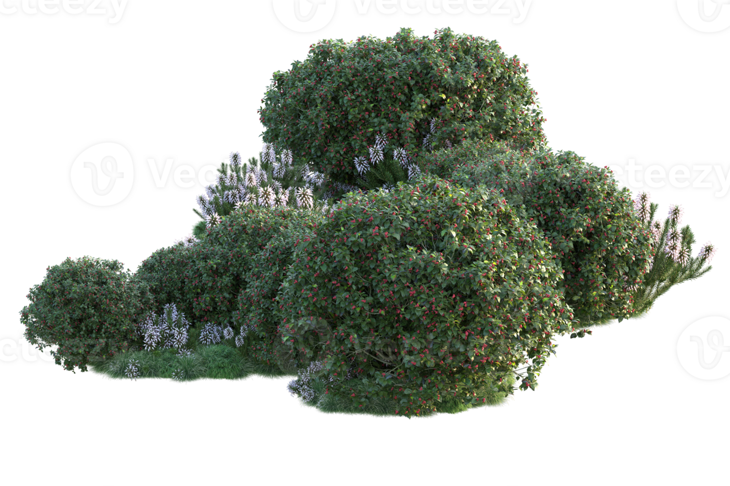 Tropical forest isolated on transparent background. 3d rendering - illustration png