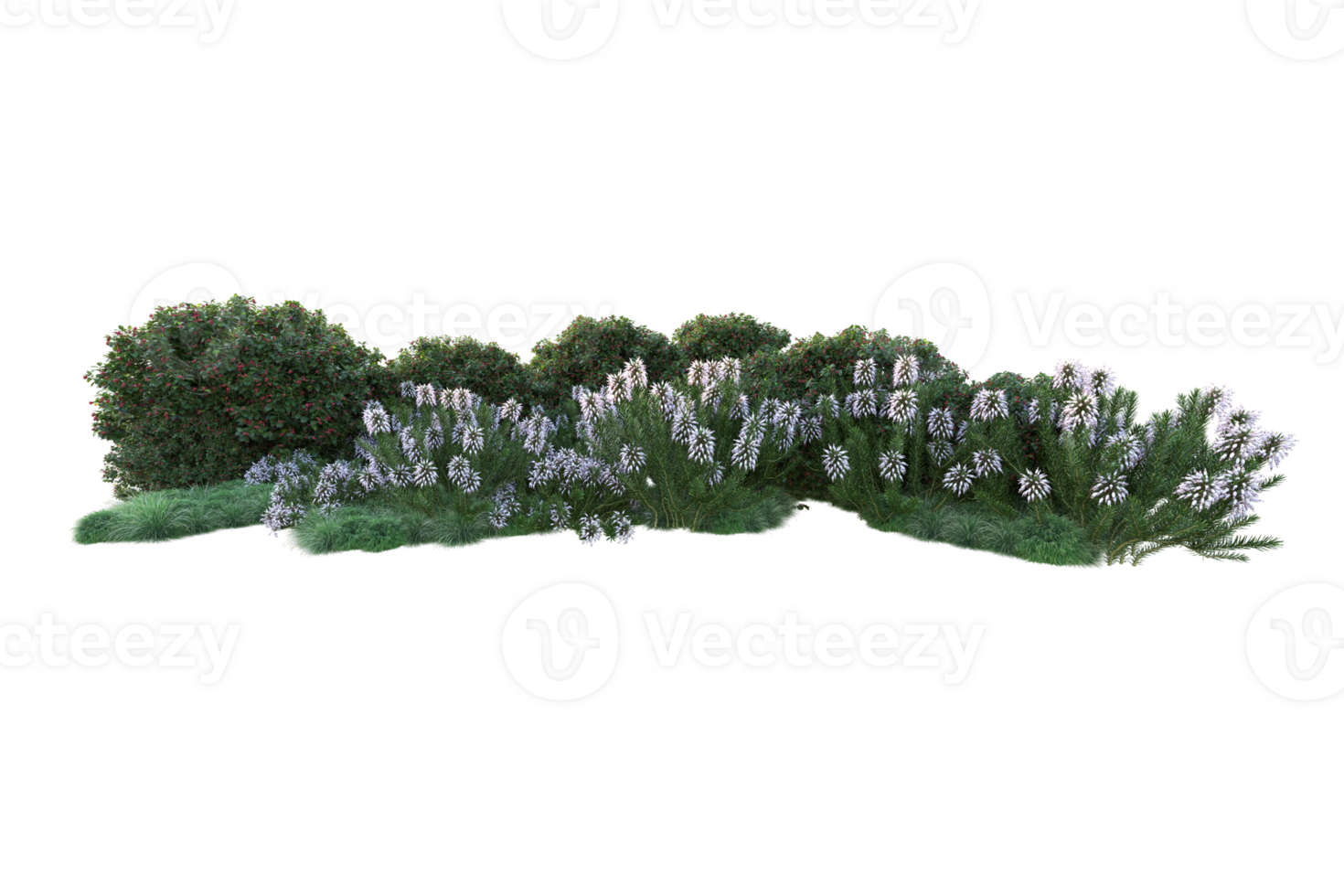 Tropical forest isolated on transparent background. 3d rendering - illustration png