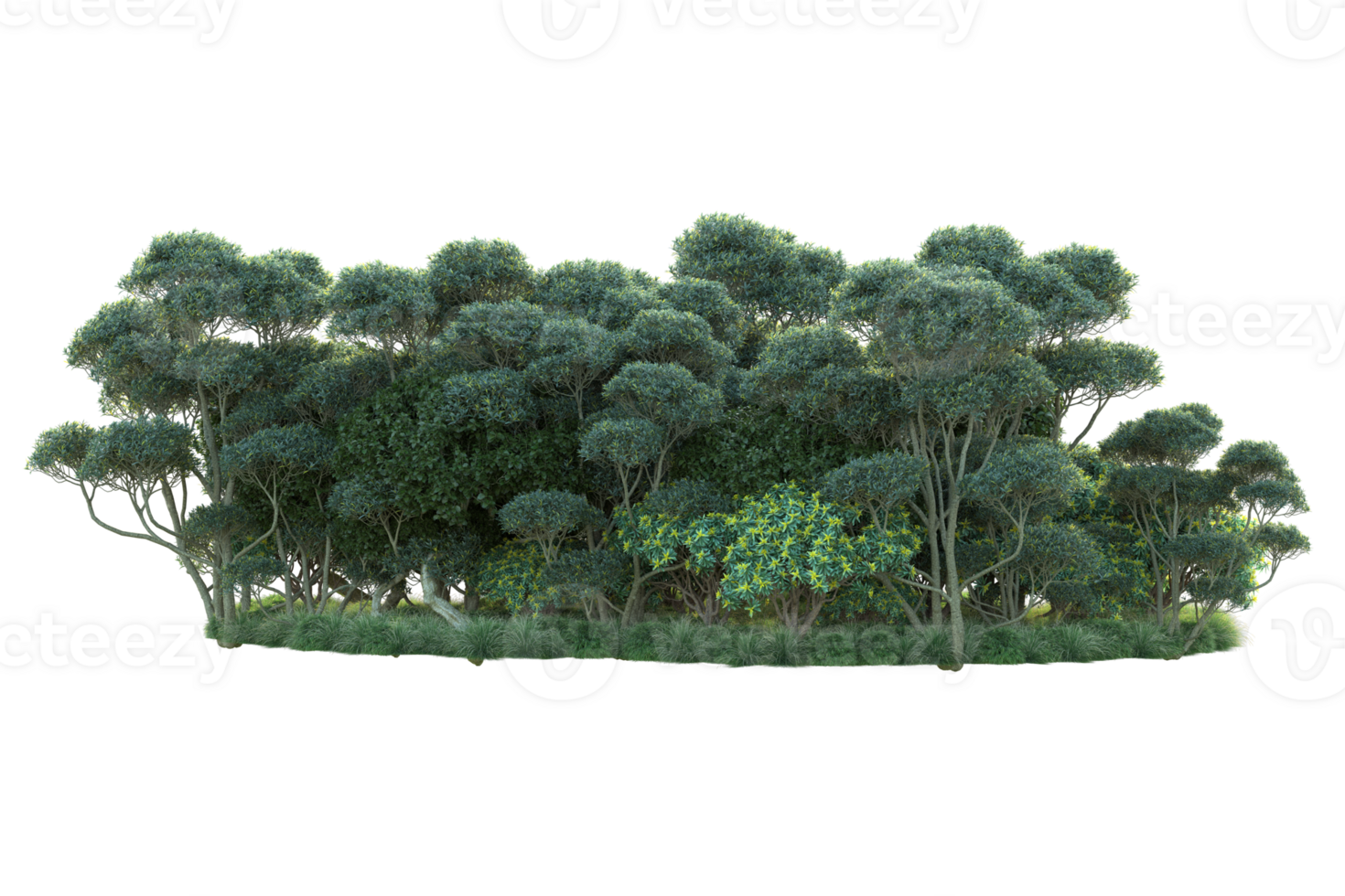 Tropical forest isolated on transparent background. 3d rendering - illustration png