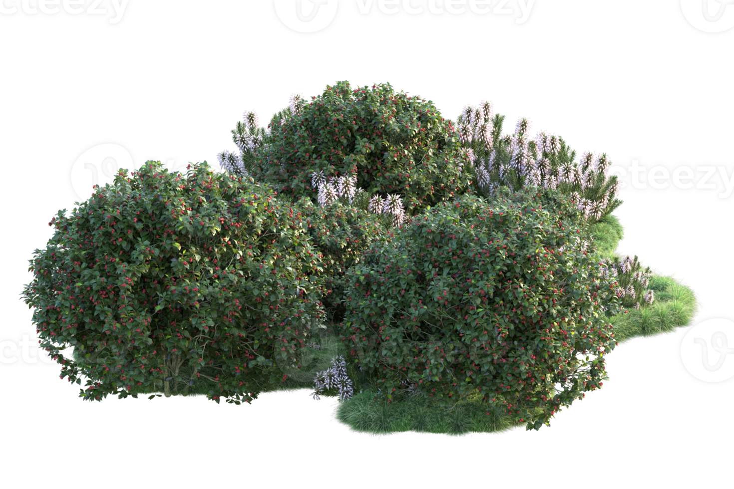 Tropical forest isolated on transparent background. 3d rendering - illustration png