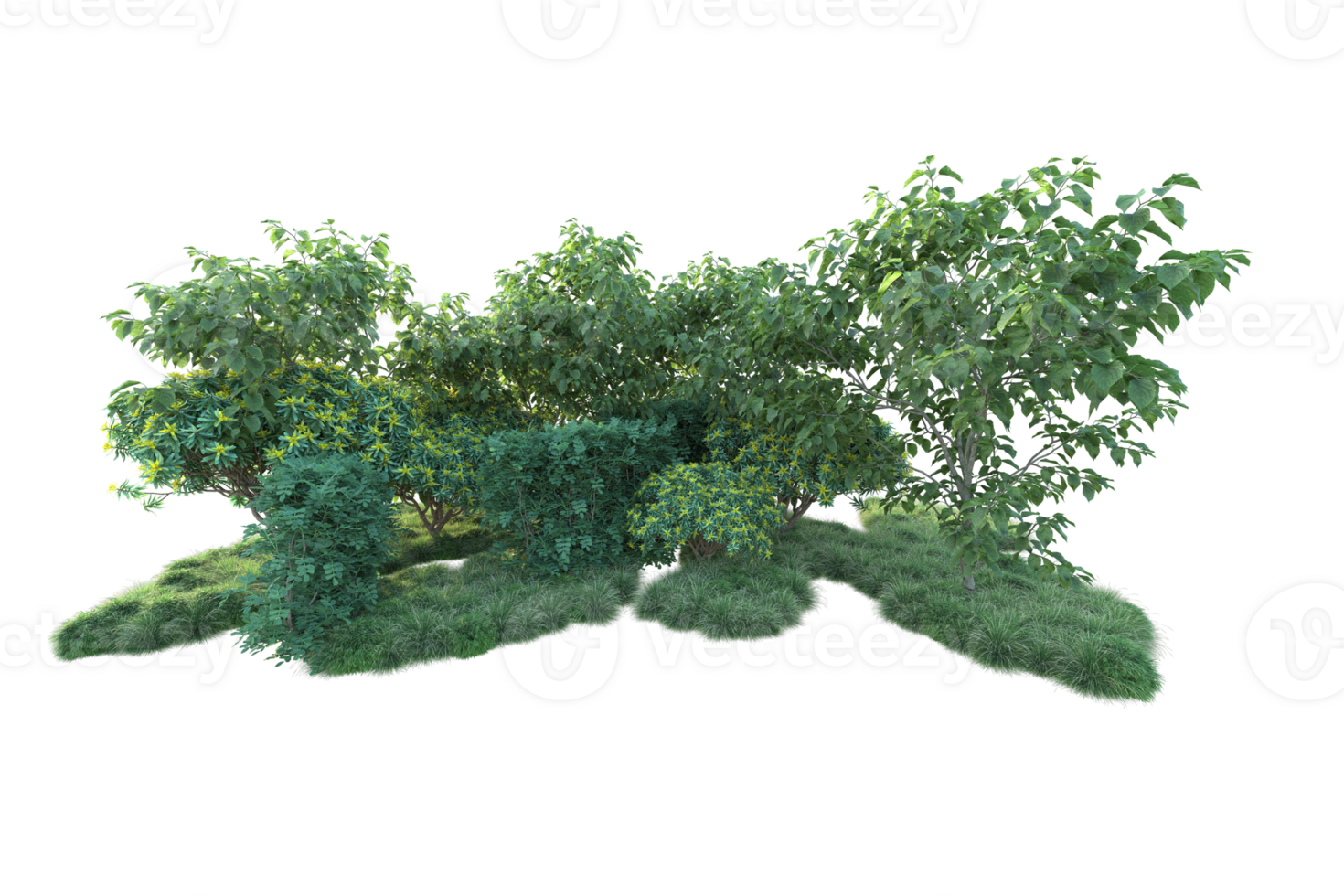 Tropical forest isolated on transparent background. 3d rendering - illustration png