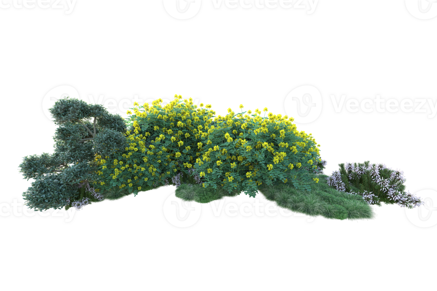 Tropical forest isolated on transparent background. 3d rendering - illustration png