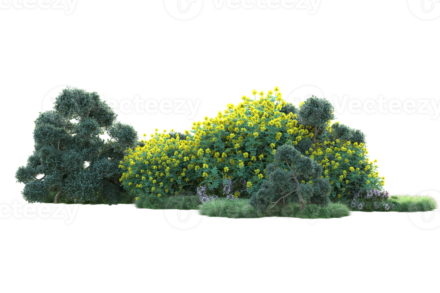 Tropical forest isolated on transparent background. 3d rendering - illustration png