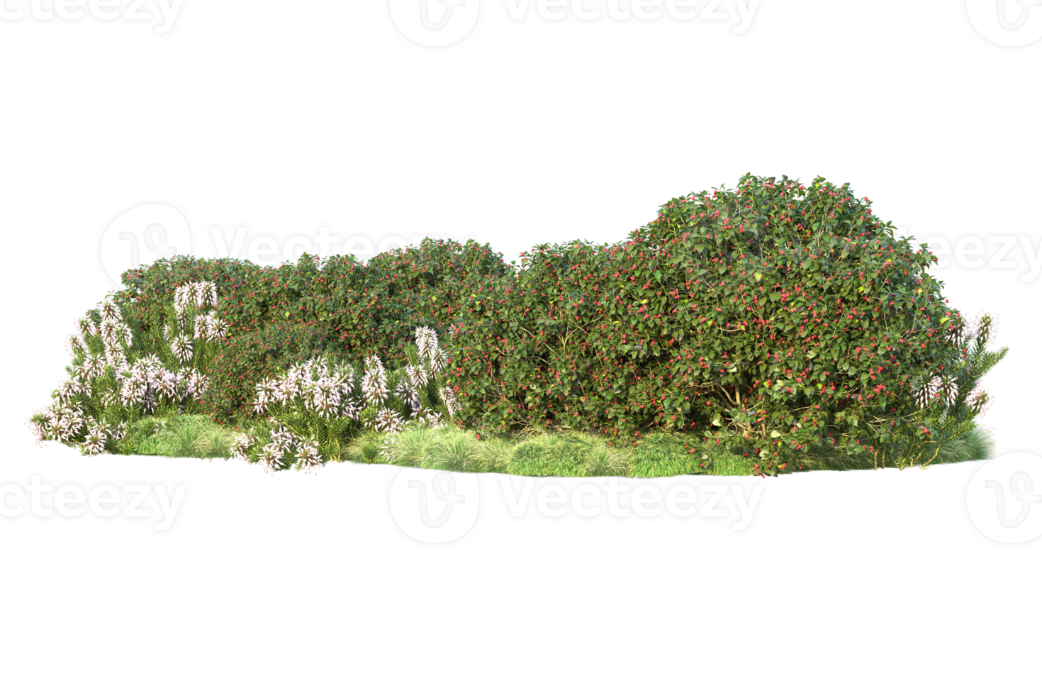 Tropical forest isolated on transparent background. 3d rendering - illustration png