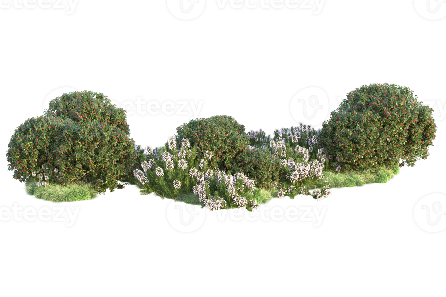 Tropical forest isolated on transparent background. 3d rendering - illustration png