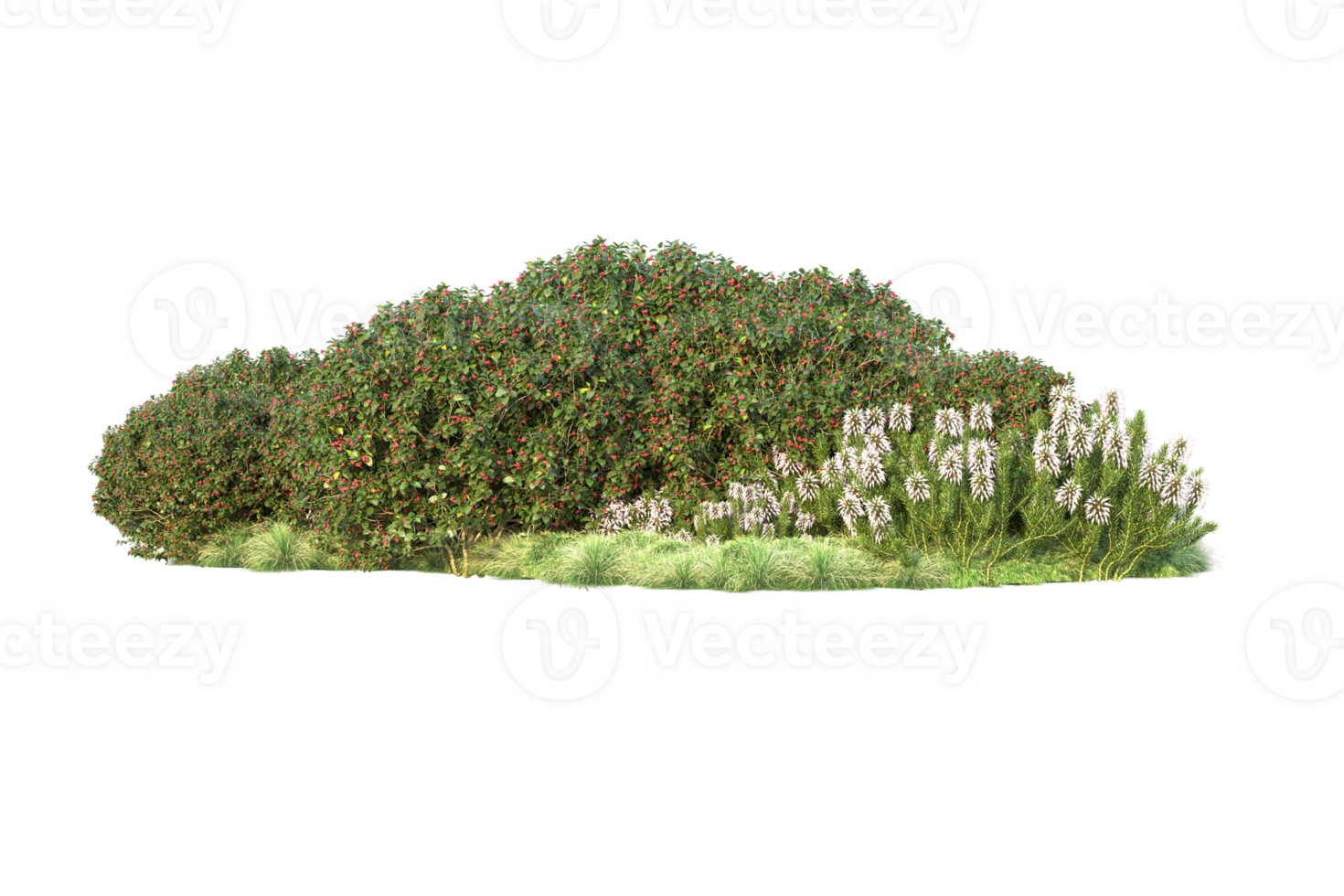 Tropical forest isolated on transparent background. 3d rendering - illustration png