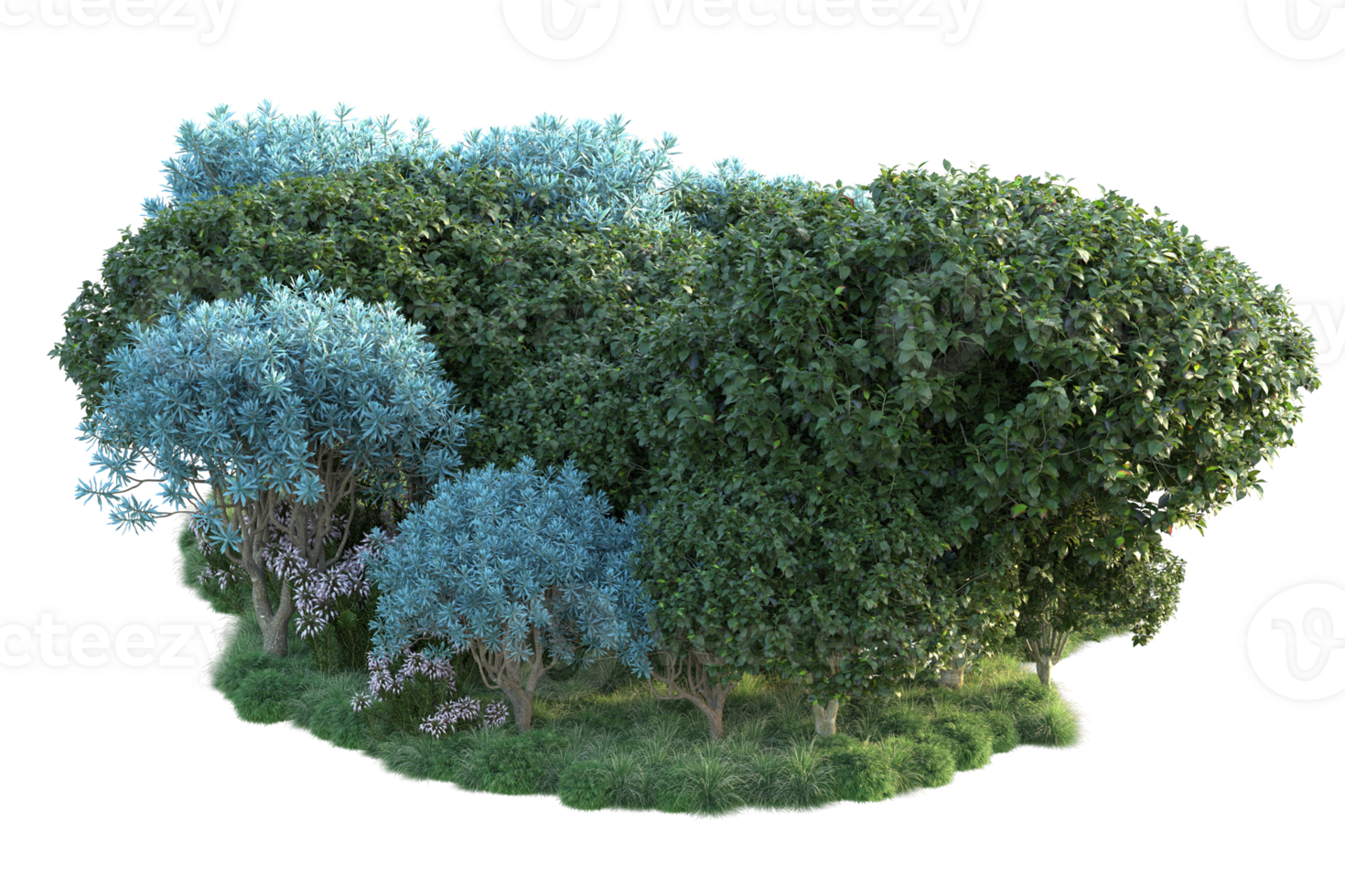 Tropical forest isolated on transparent background. 3d rendering - illustration png