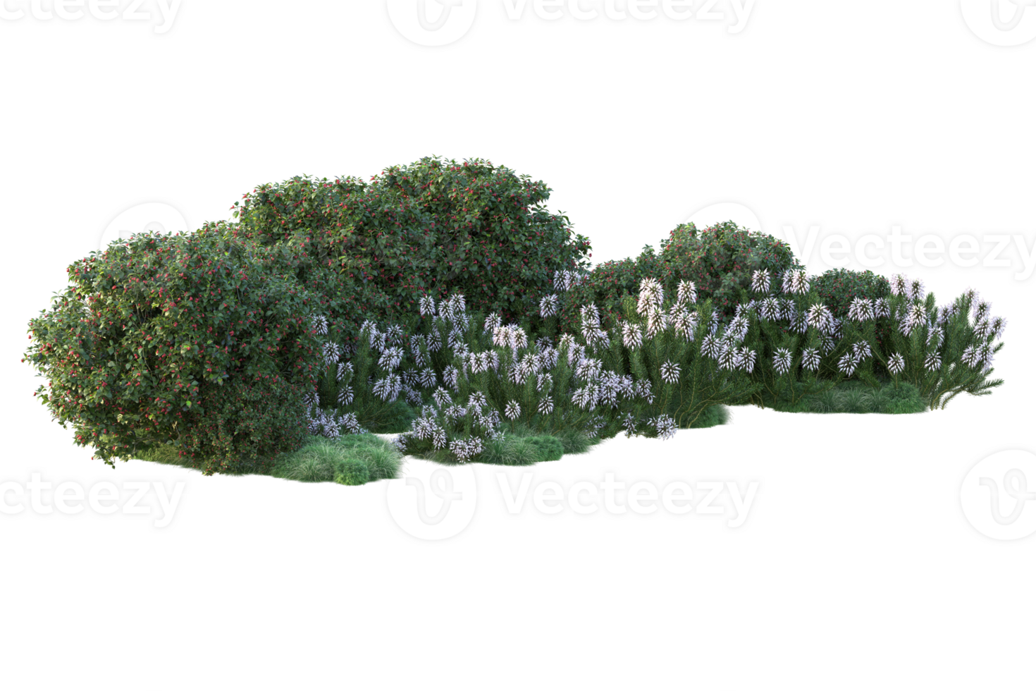 Tropical forest isolated on transparent background. 3d rendering - illustration png