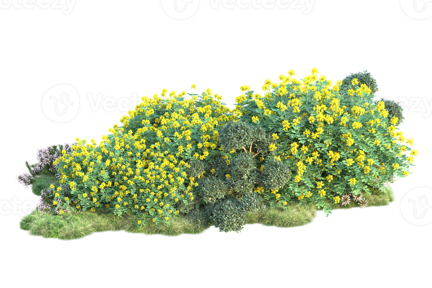 Tropical forest isolated on transparent background. 3d rendering - illustration png