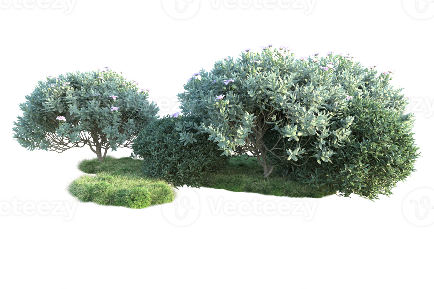 Tropical forest isolated on transparent background. 3d rendering - illustration png