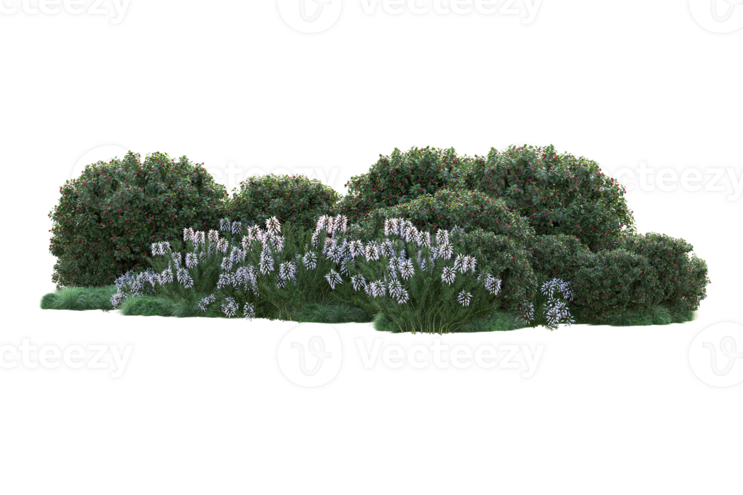 Tropical forest isolated on transparent background. 3d rendering - illustration png