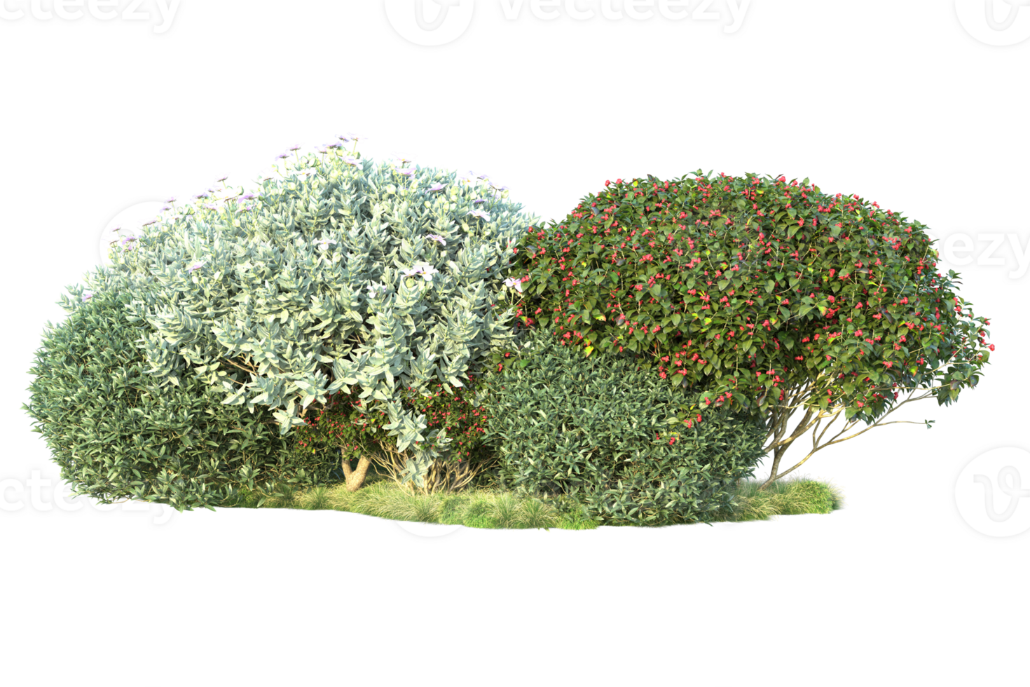 Tropical forest isolated on transparent background. 3d rendering - illustration png