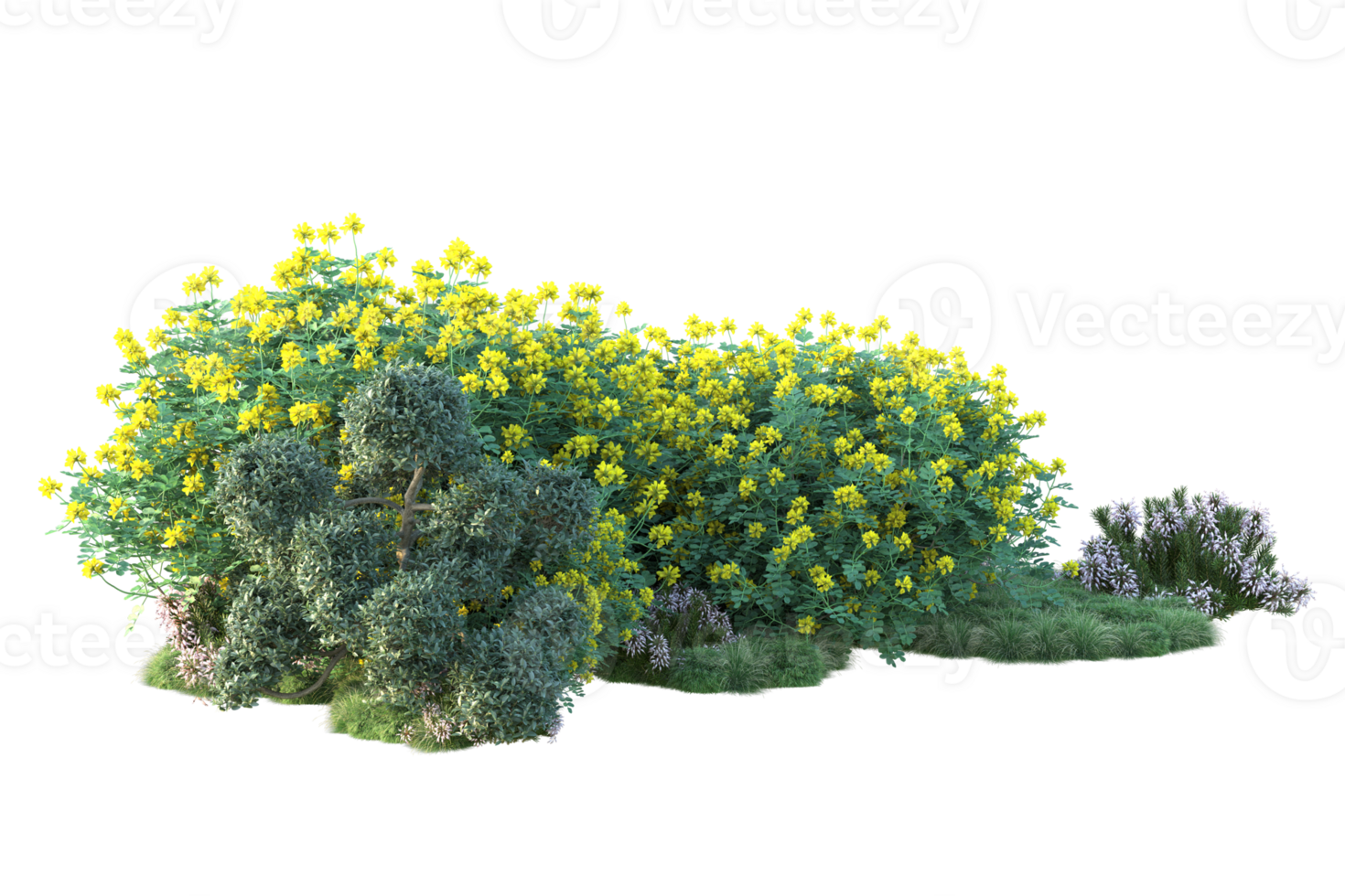 Tropical forest isolated on transparent background. 3d rendering - illustration png