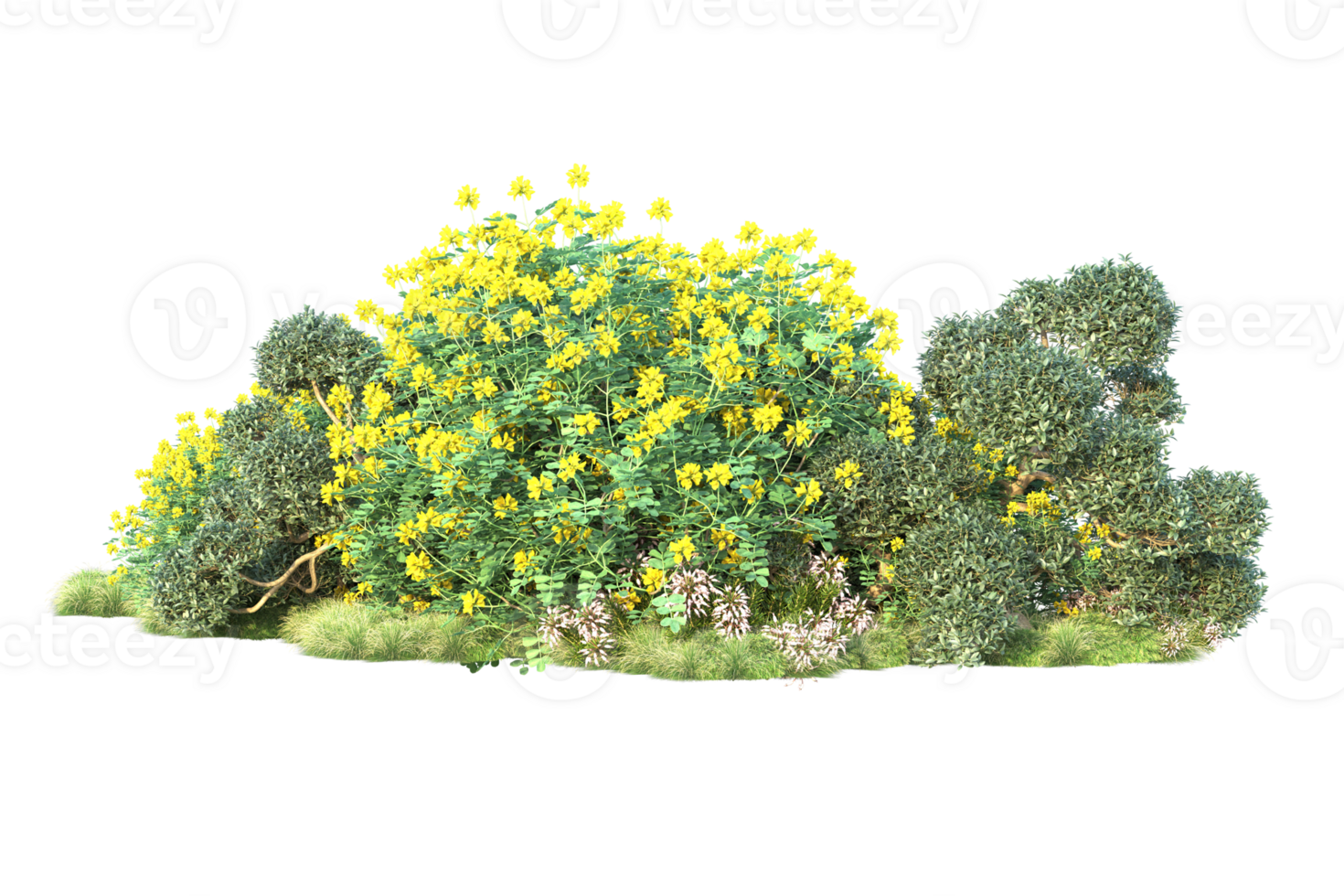 Tropical forest isolated on transparent background. 3d rendering - illustration png