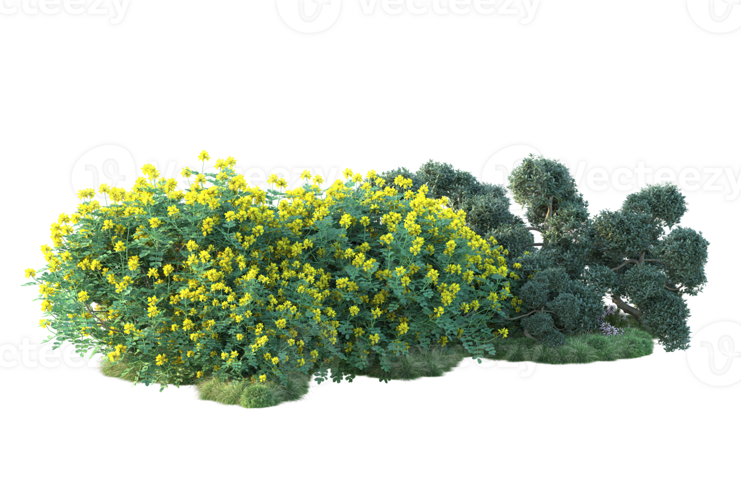 Tropical forest isolated on transparent background. 3d rendering - illustration png