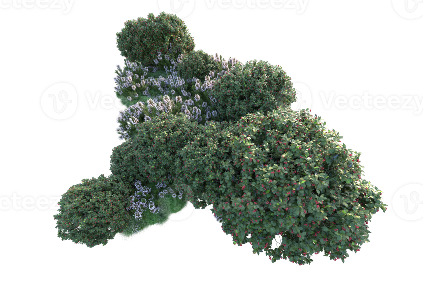 Tropical forest isolated on transparent background. 3d rendering - illustration png