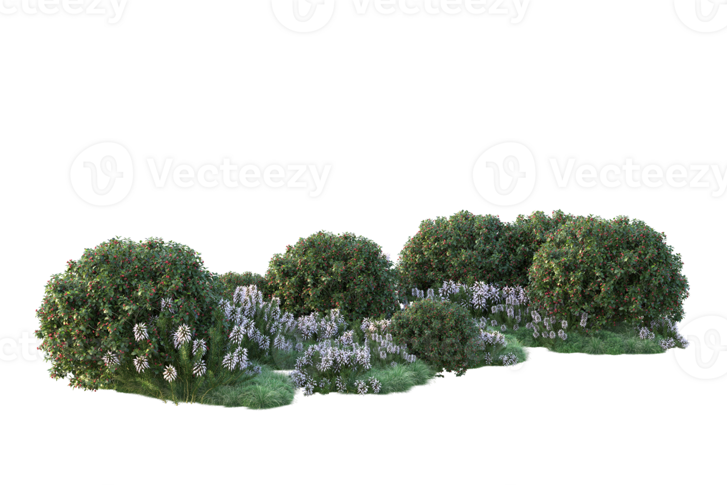 Tropical forest isolated on transparent background. 3d rendering - illustration png