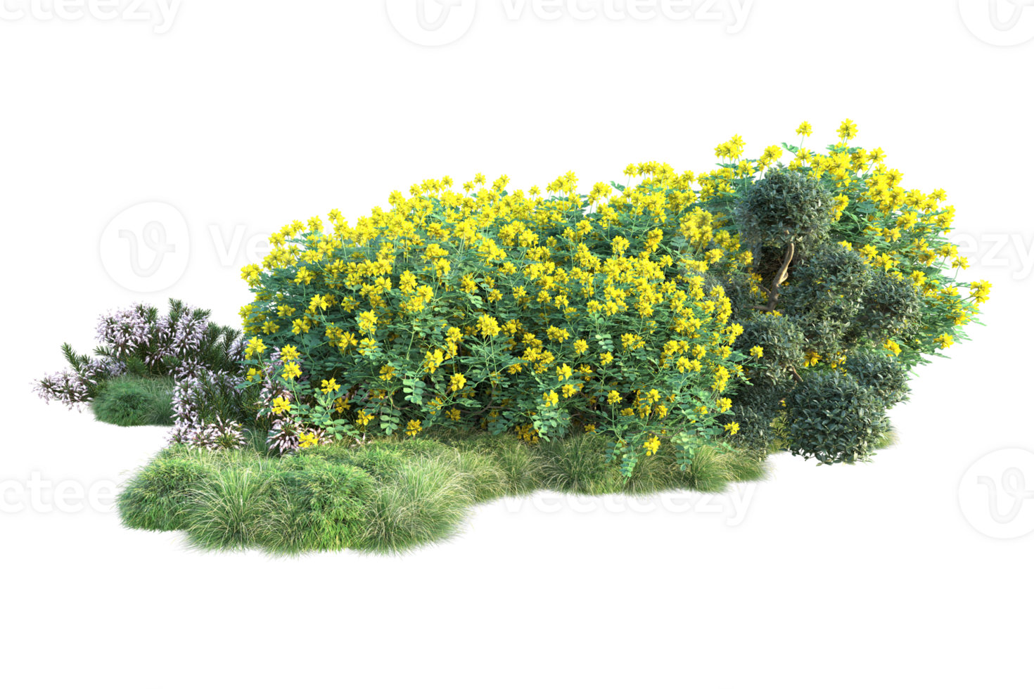 Tropical forest isolated on transparent background. 3d rendering - illustration png