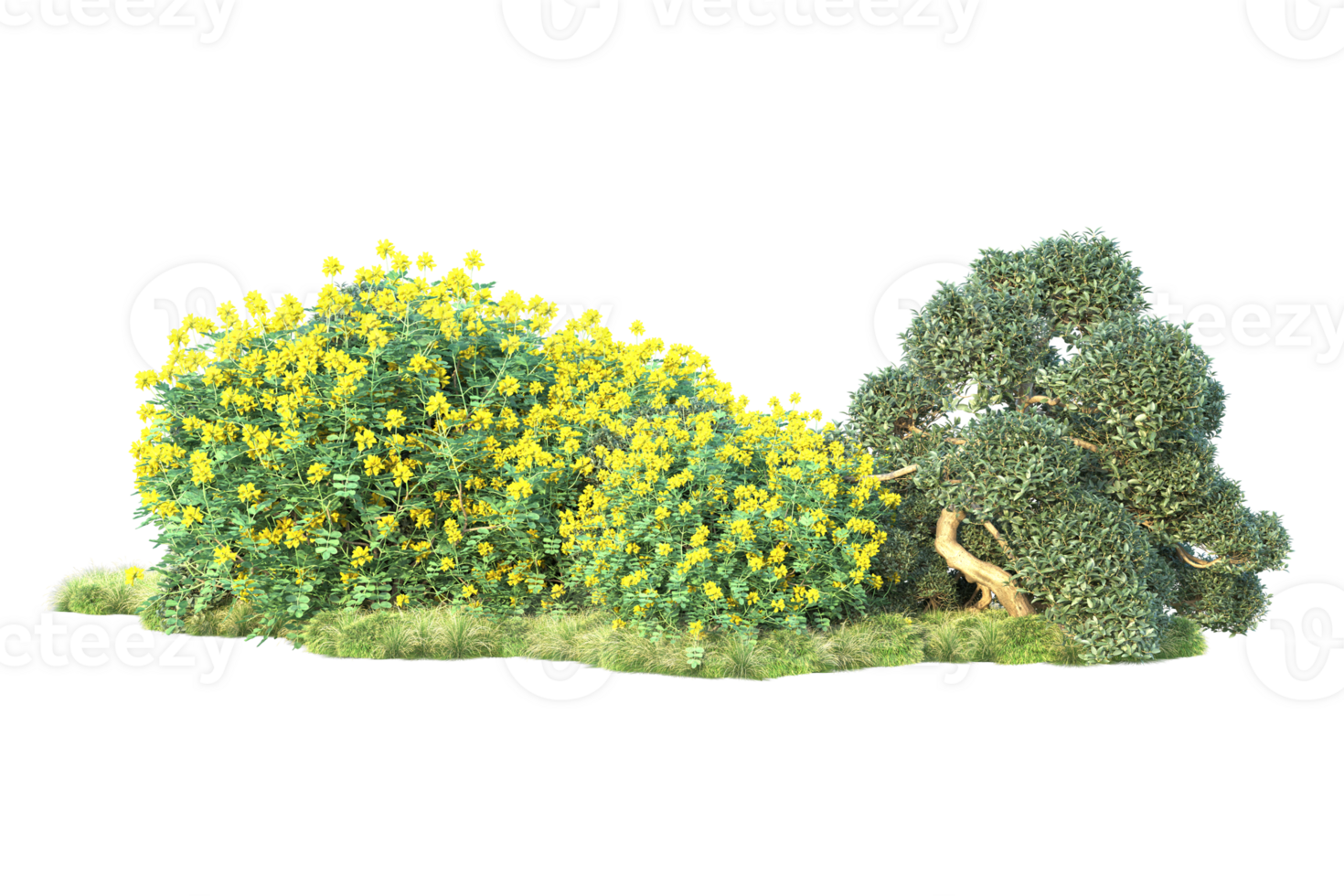 Tropical forest isolated on transparent background. 3d rendering - illustration png