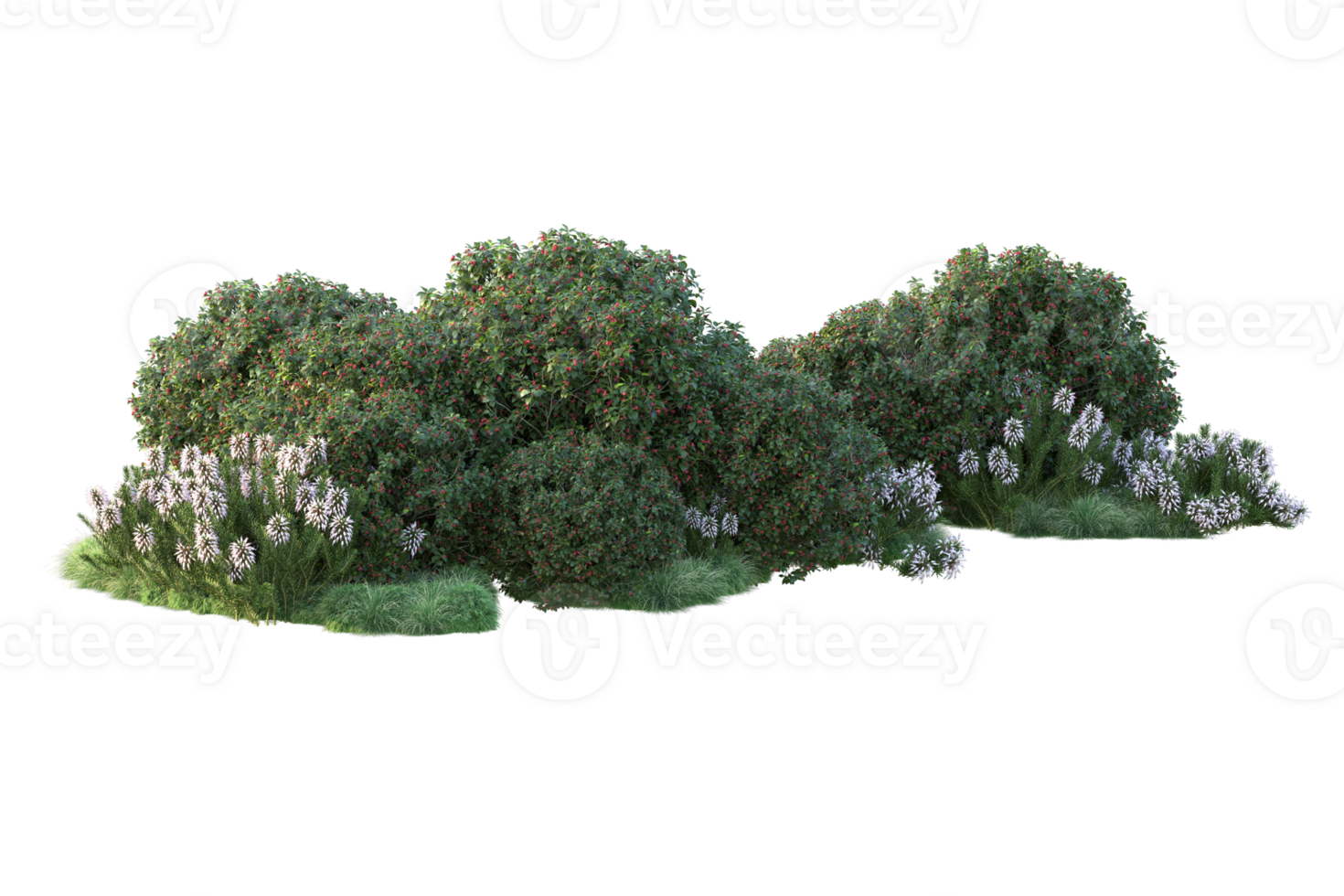 Tropical forest isolated on transparent background. 3d rendering - illustration png