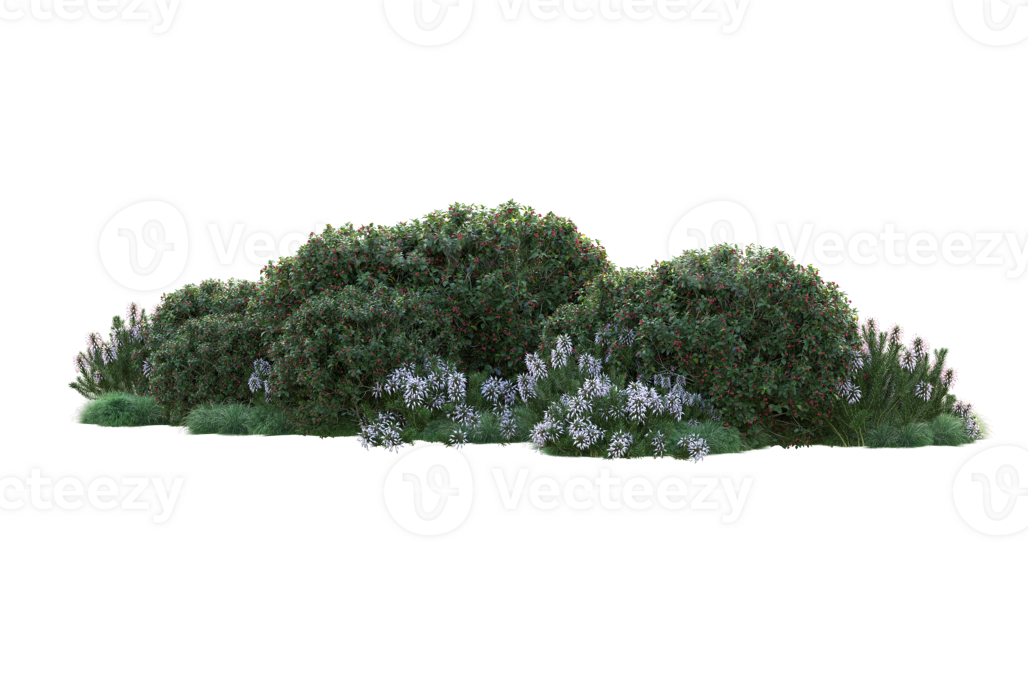Tropical forest isolated on transparent background. 3d rendering - illustration png