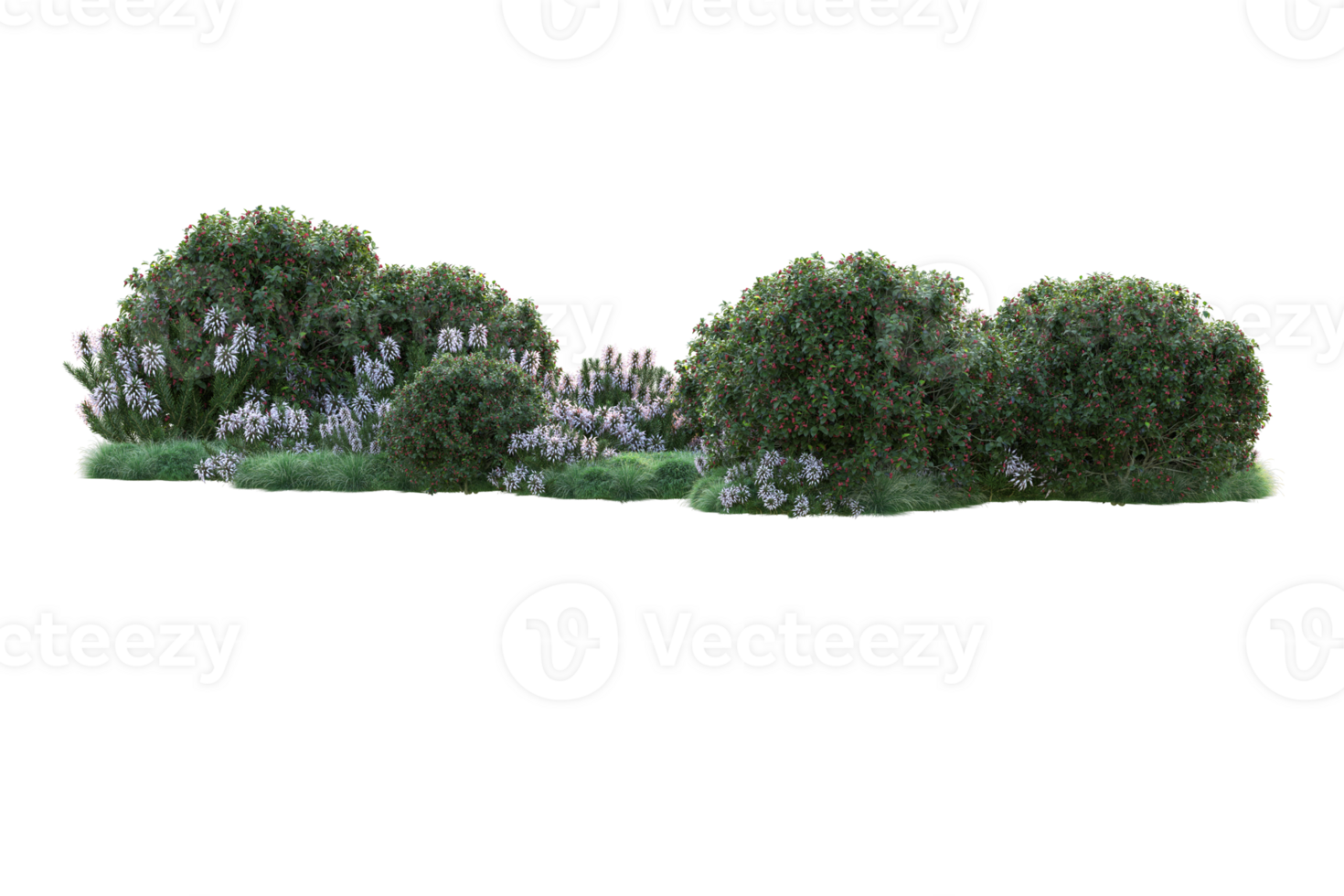 Tropical forest isolated on transparent background. 3d rendering - illustration png