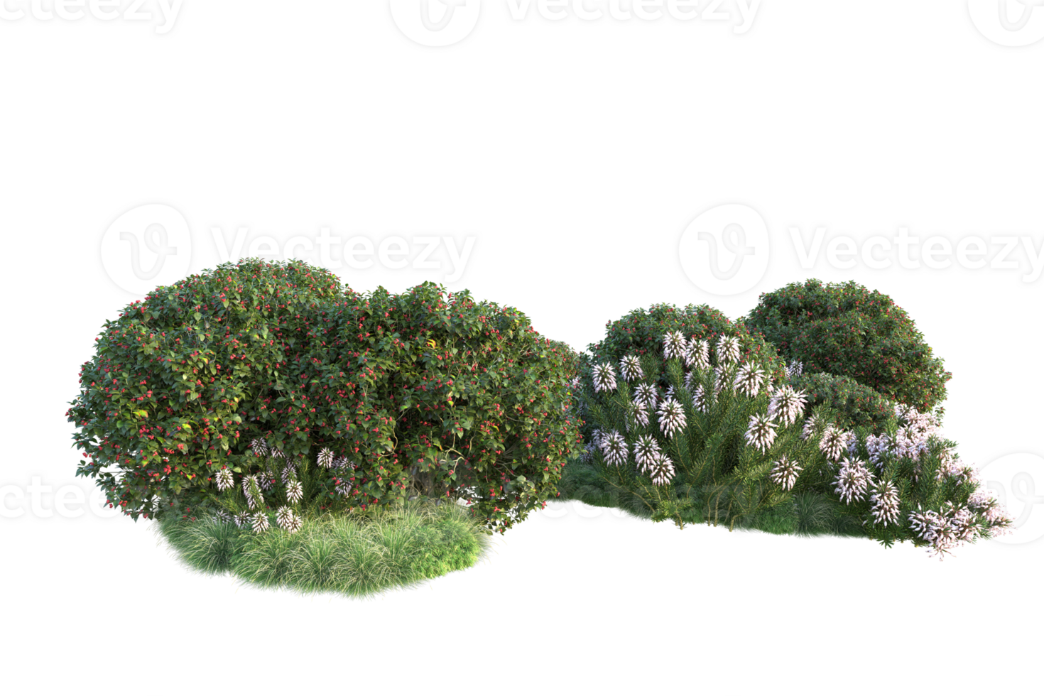 Tropical forest isolated on transparent background. 3d rendering - illustration png