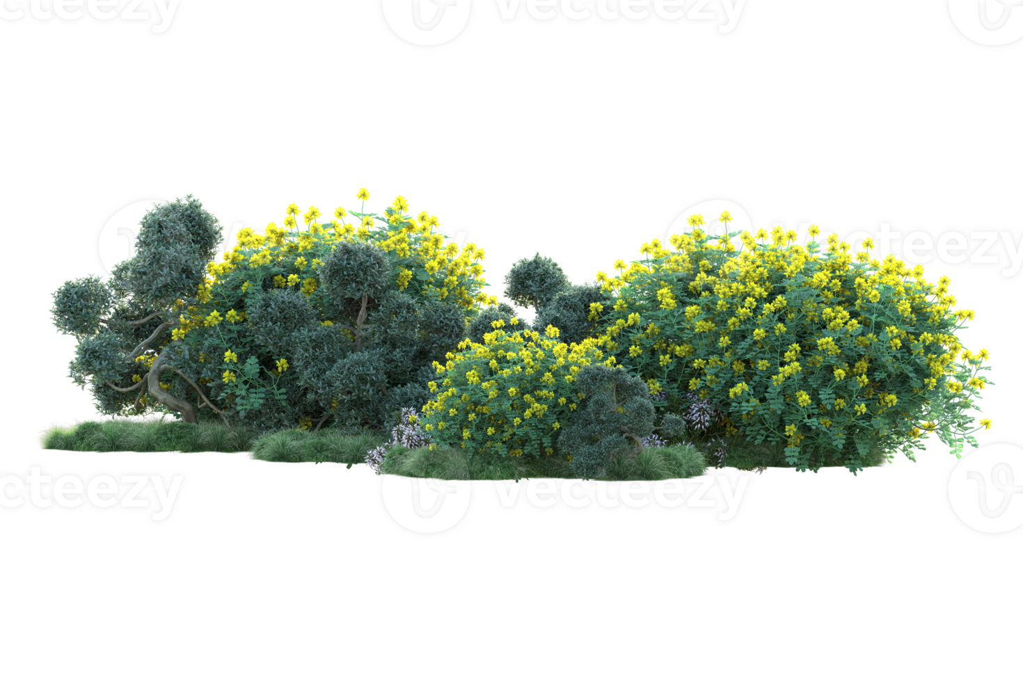 Tropical forest isolated on transparent background. 3d rendering - illustration png