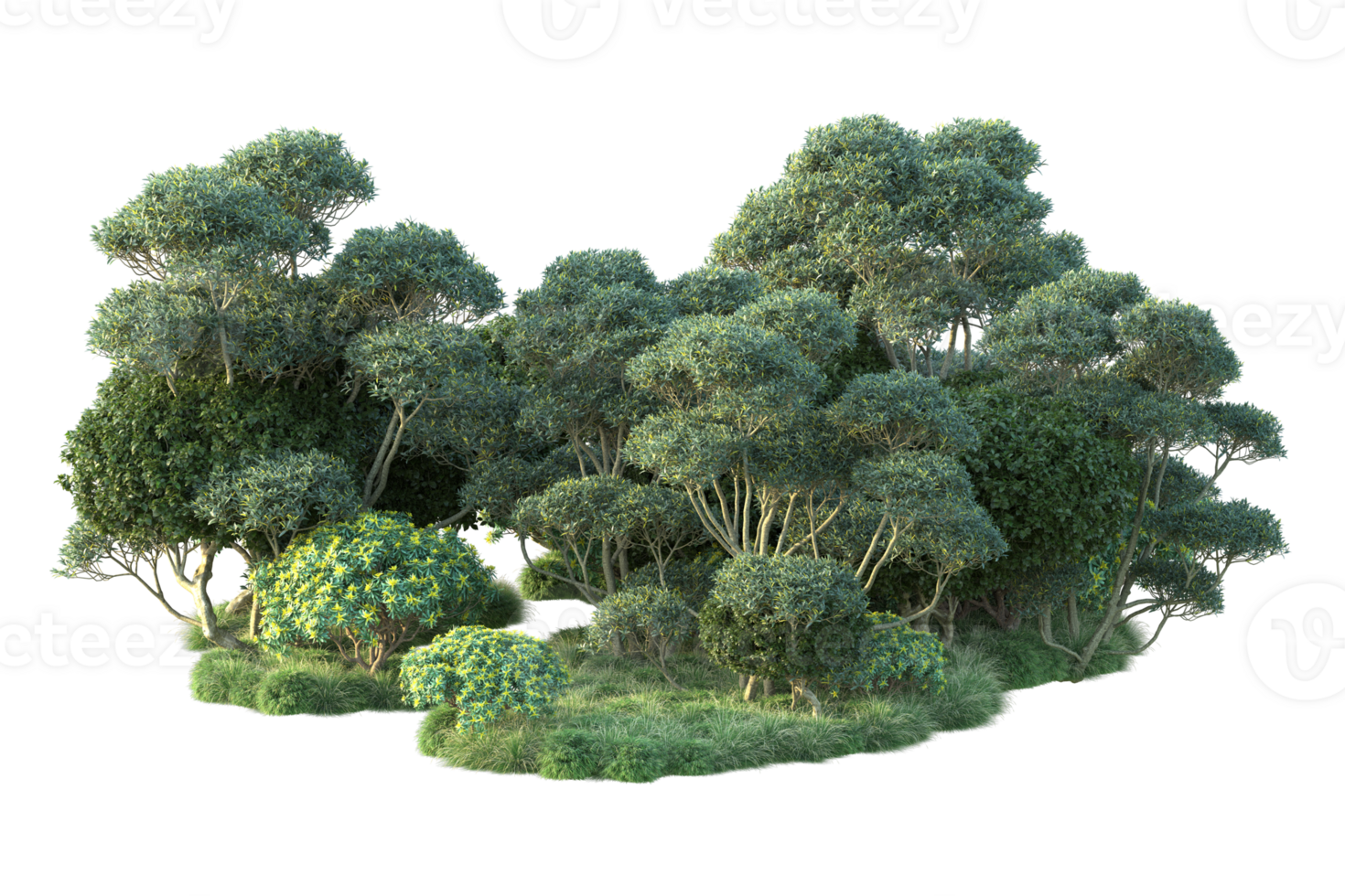Tropical forest isolated on transparent background. 3d rendering - illustration png