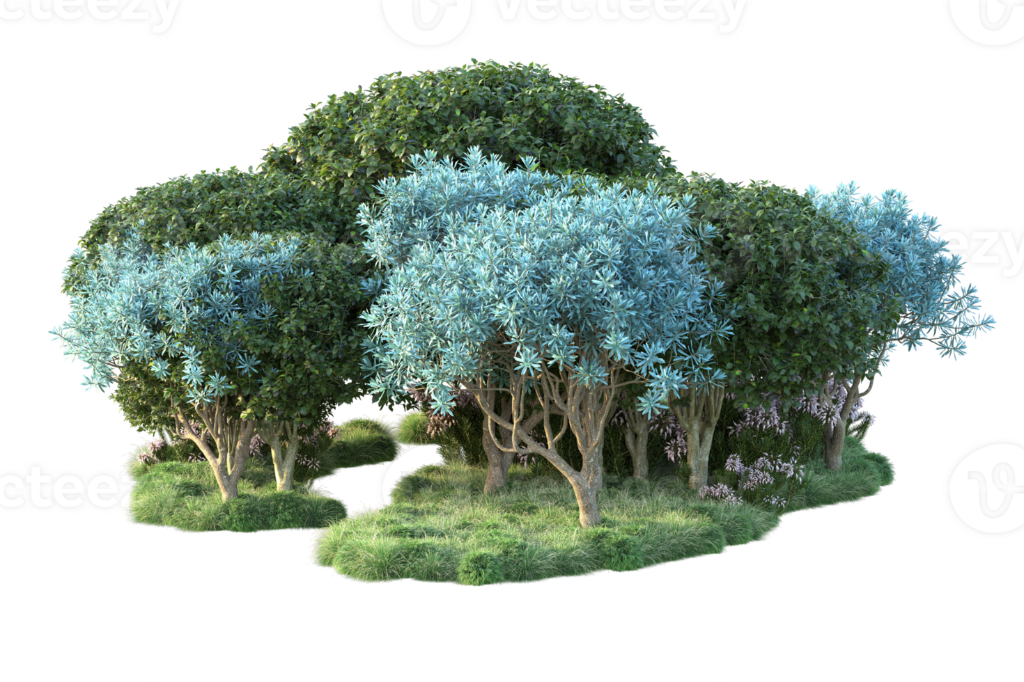Tropical forest isolated on transparent background. 3d rendering - illustration png