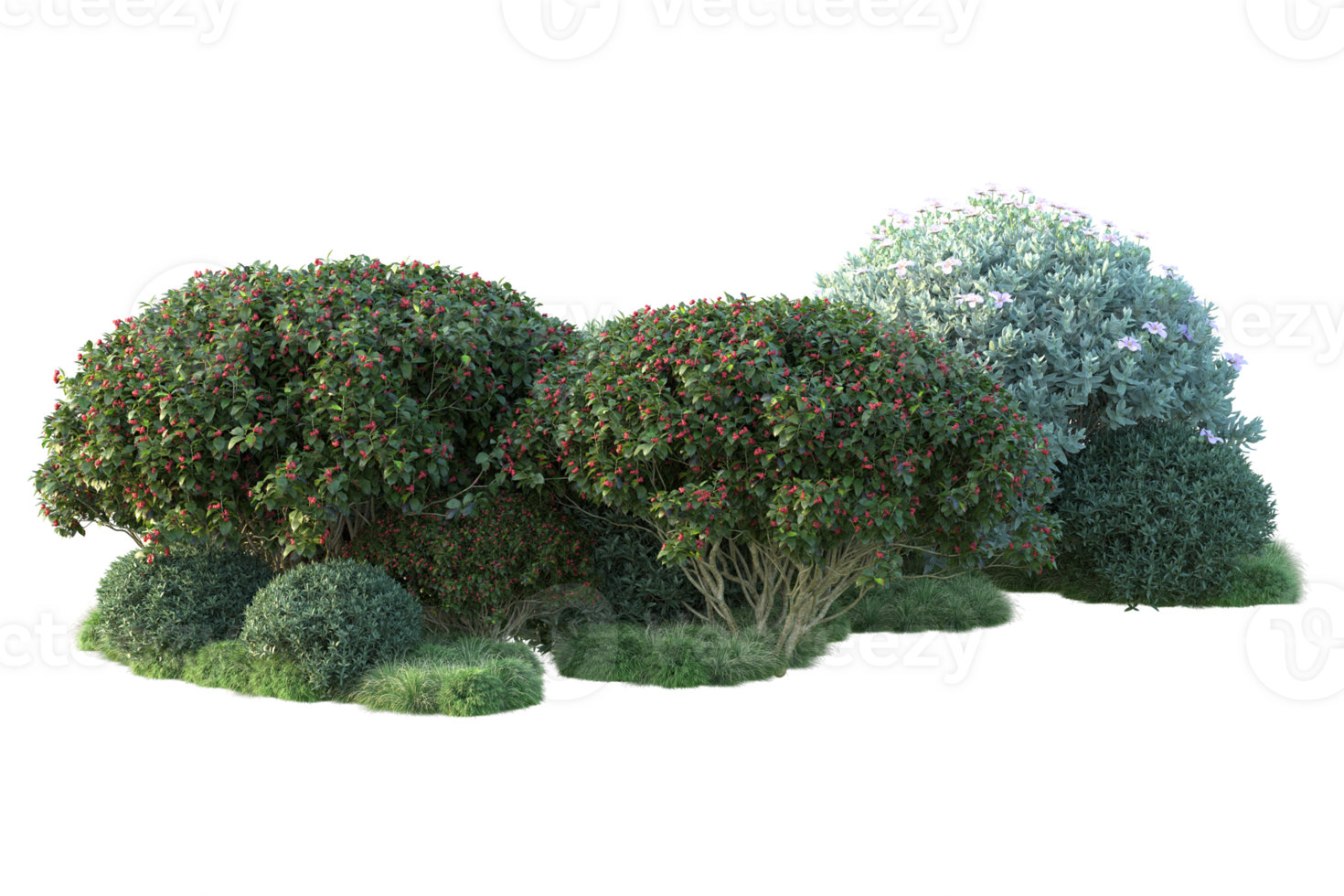 Tropical forest isolated on transparent background. 3d rendering - illustration png