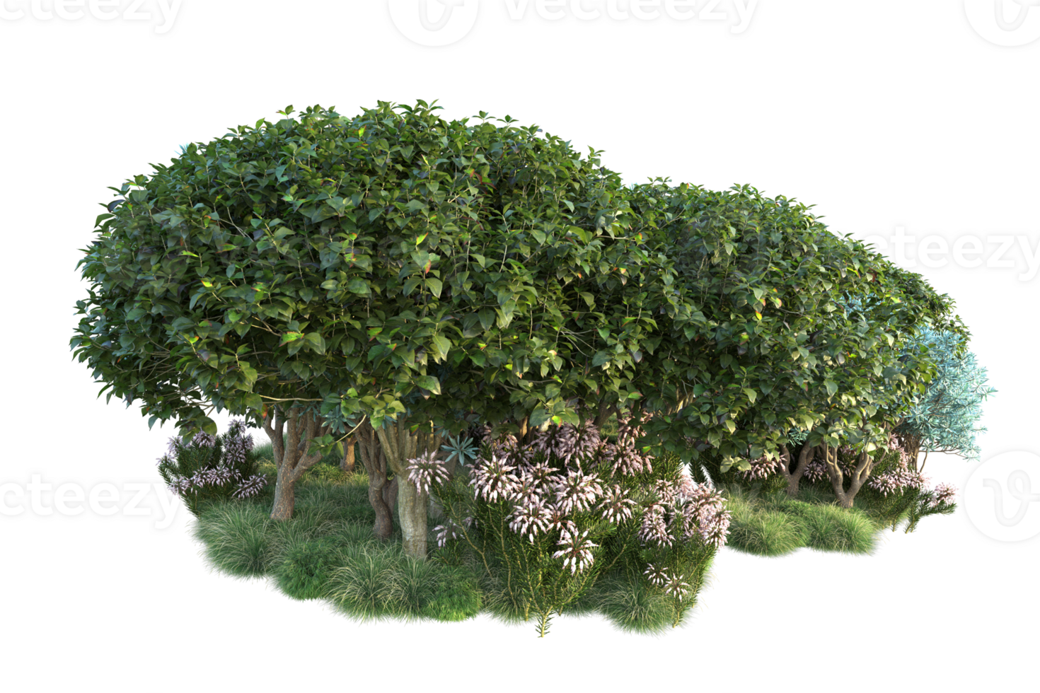 Tropical forest isolated on transparent background. 3d rendering - illustration png