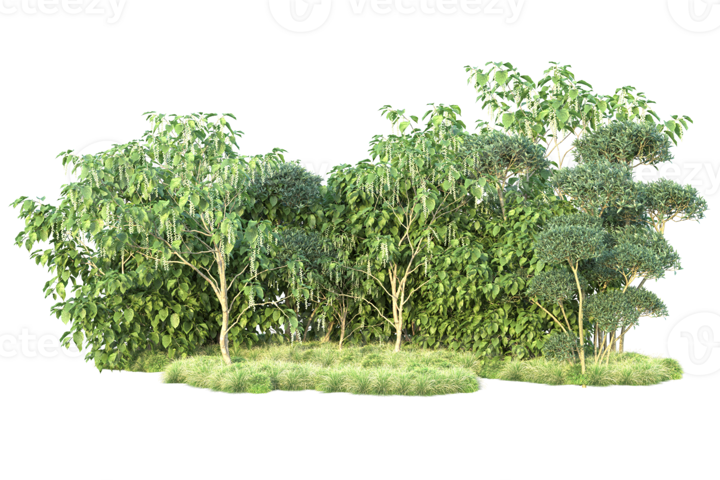 Tropical forest isolated on transparent background. 3d rendering - illustration png