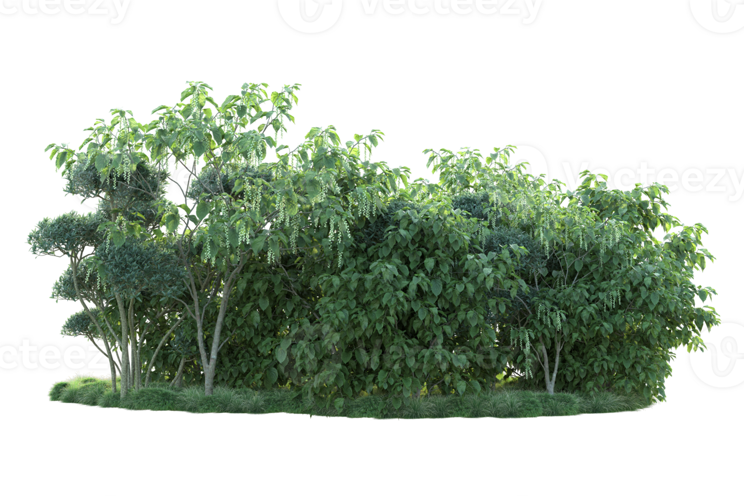 Tropical forest isolated on transparent background. 3d rendering - illustration png