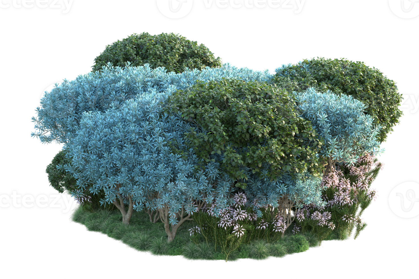 Tropical forest isolated on transparent background. 3d rendering - illustration png