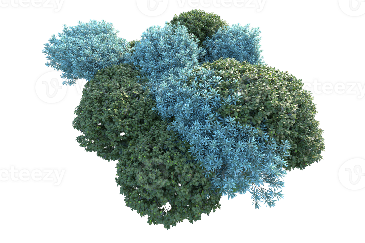 Tropical forest isolated on transparent background. 3d rendering - illustration png