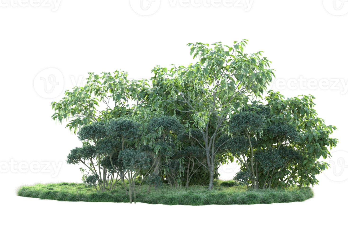 Tropical forest isolated on transparent background. 3d rendering - illustration png