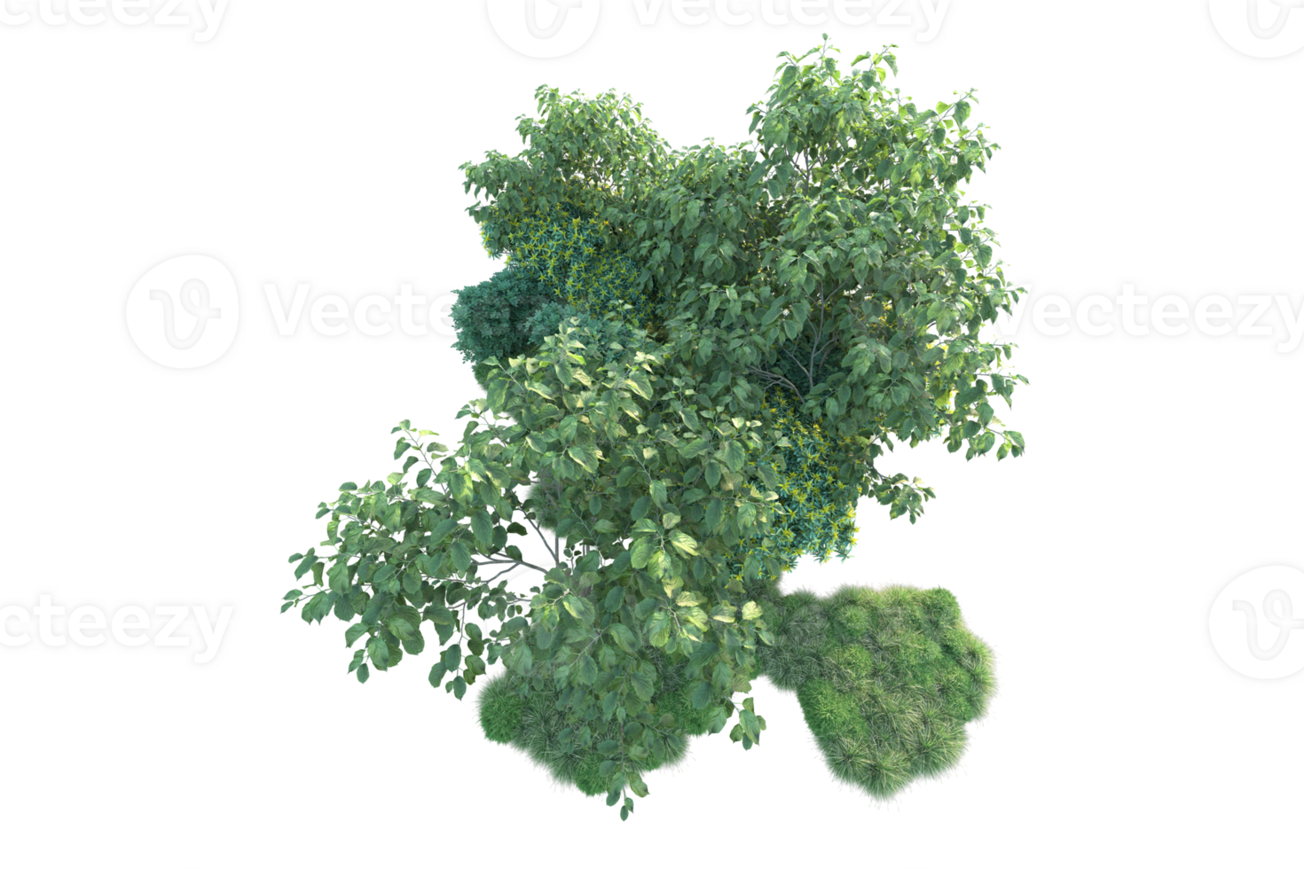 Tropical forest isolated on transparent background. 3d rendering - illustration png