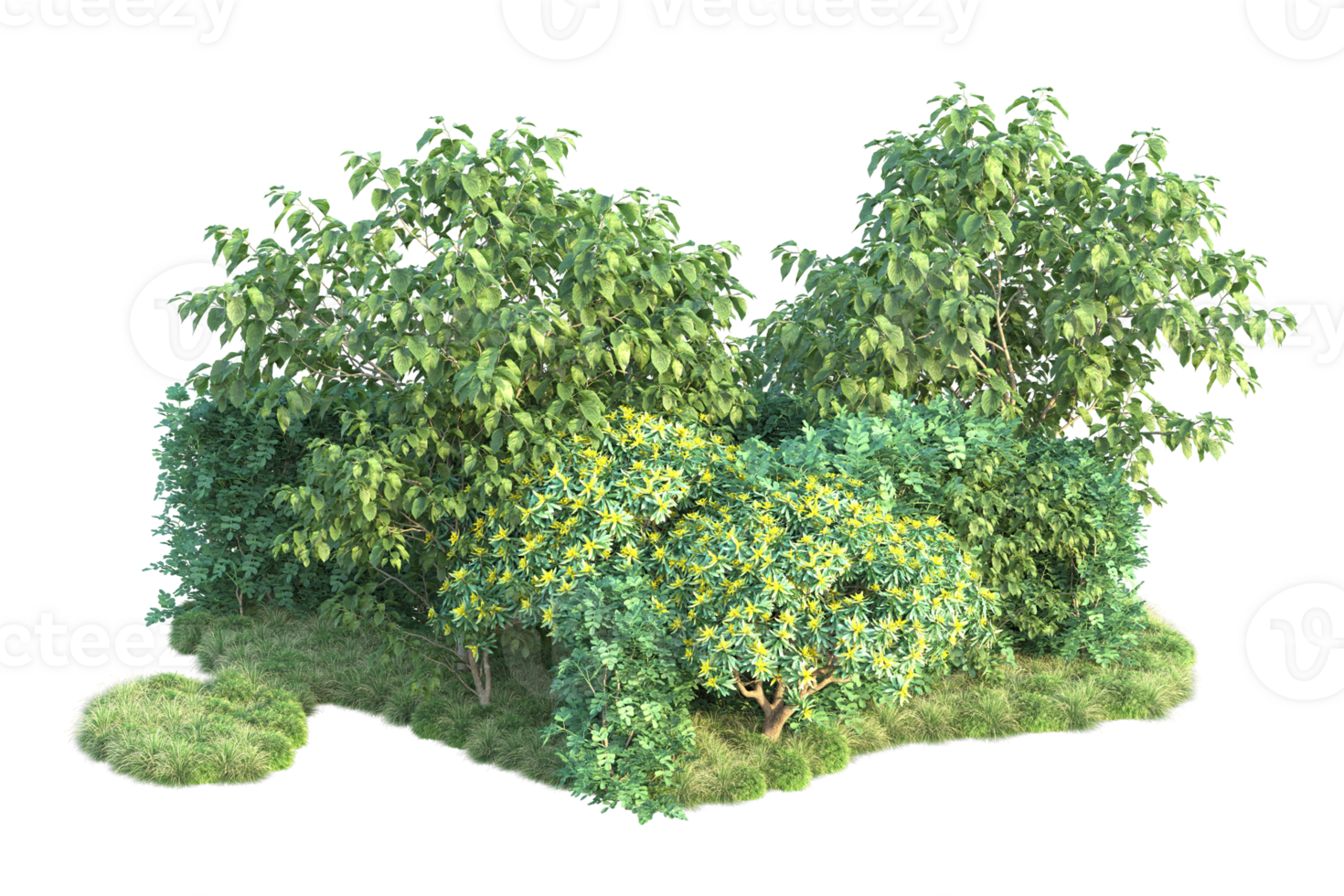 Tropical forest isolated on transparent background. 3d rendering - illustration png