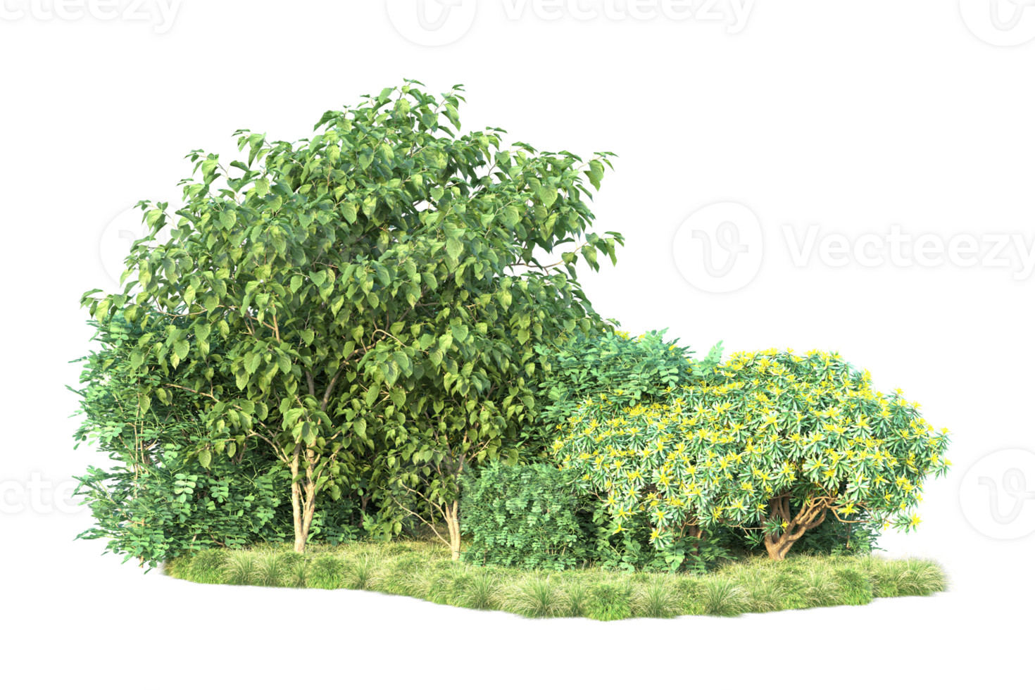 Tropical forest isolated on transparent background. 3d rendering - illustration png