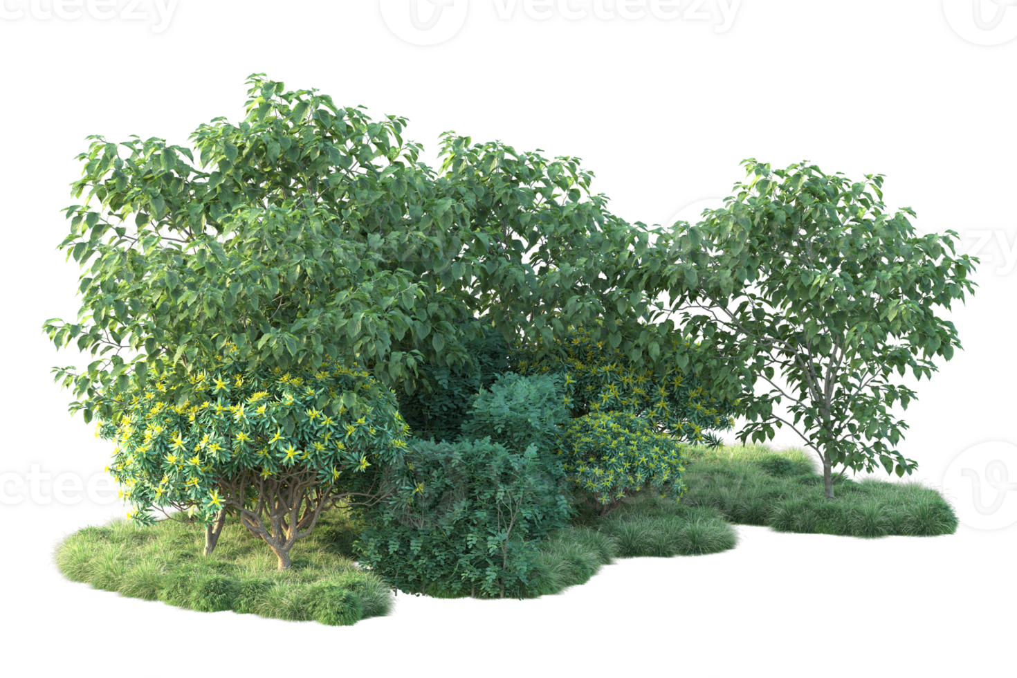 Tropical forest isolated on transparent background. 3d rendering - illustration png