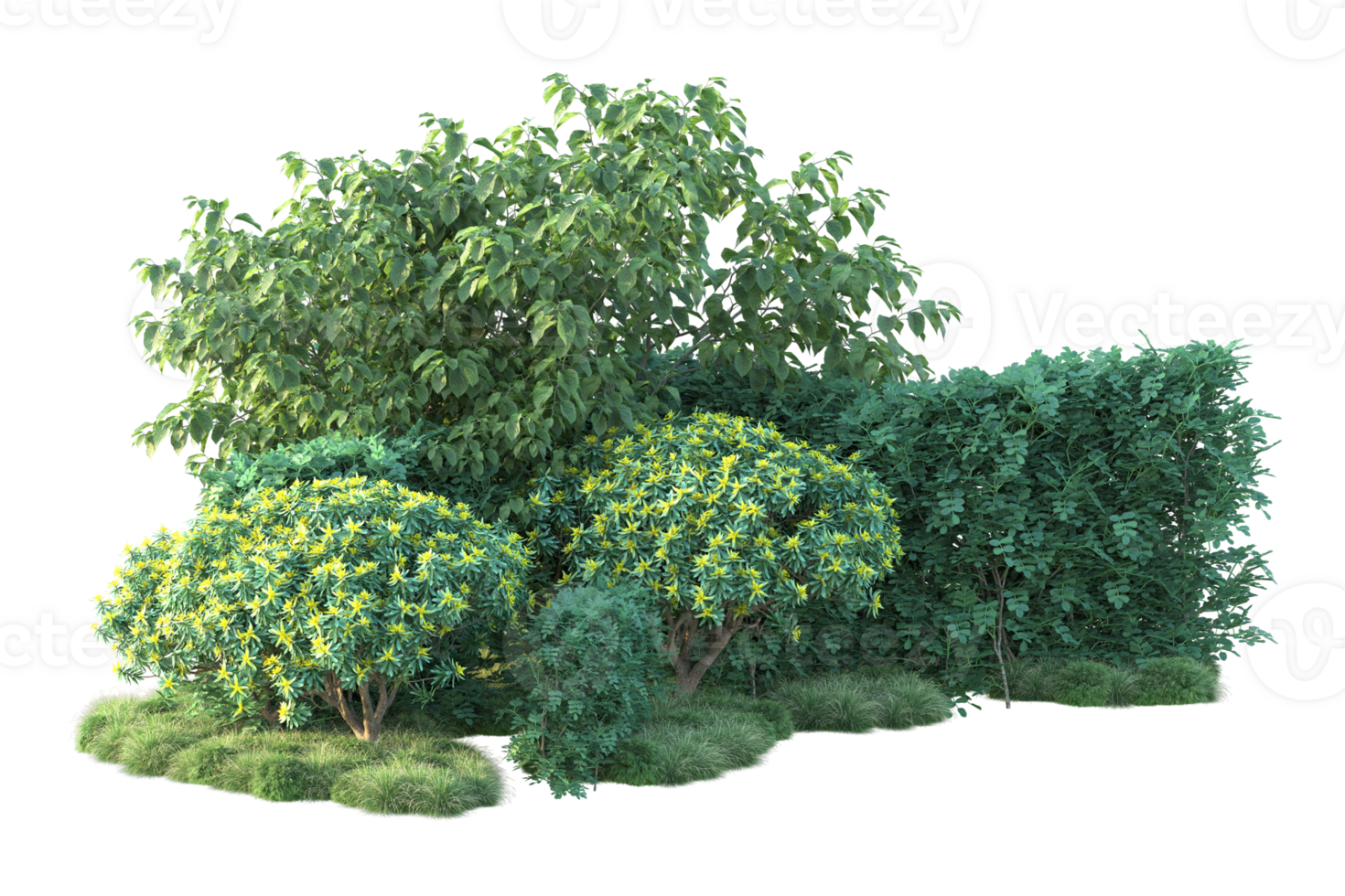 Tropical forest isolated on transparent background. 3d rendering - illustration png