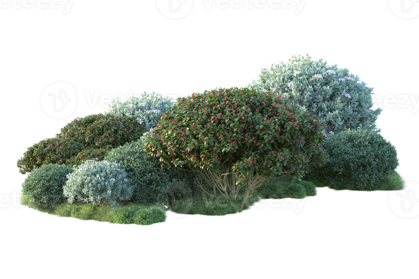 Tropical forest isolated on transparent background. 3d rendering - illustration png
