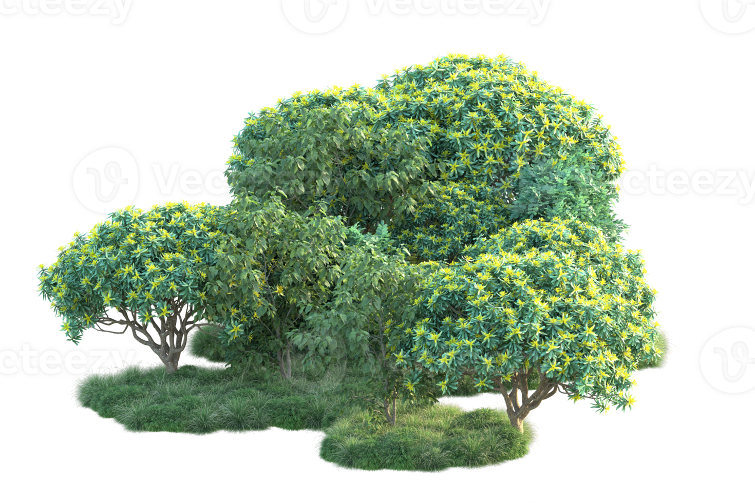 Tropical forest isolated on transparent background. 3d rendering - illustration png