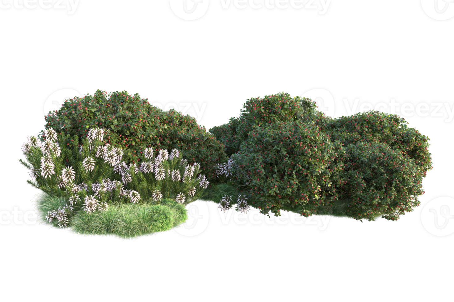Tropical forest isolated on transparent background. 3d rendering - illustration png