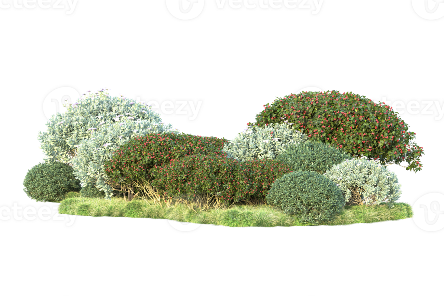 Tropical forest isolated on transparent background. 3d rendering - illustration png