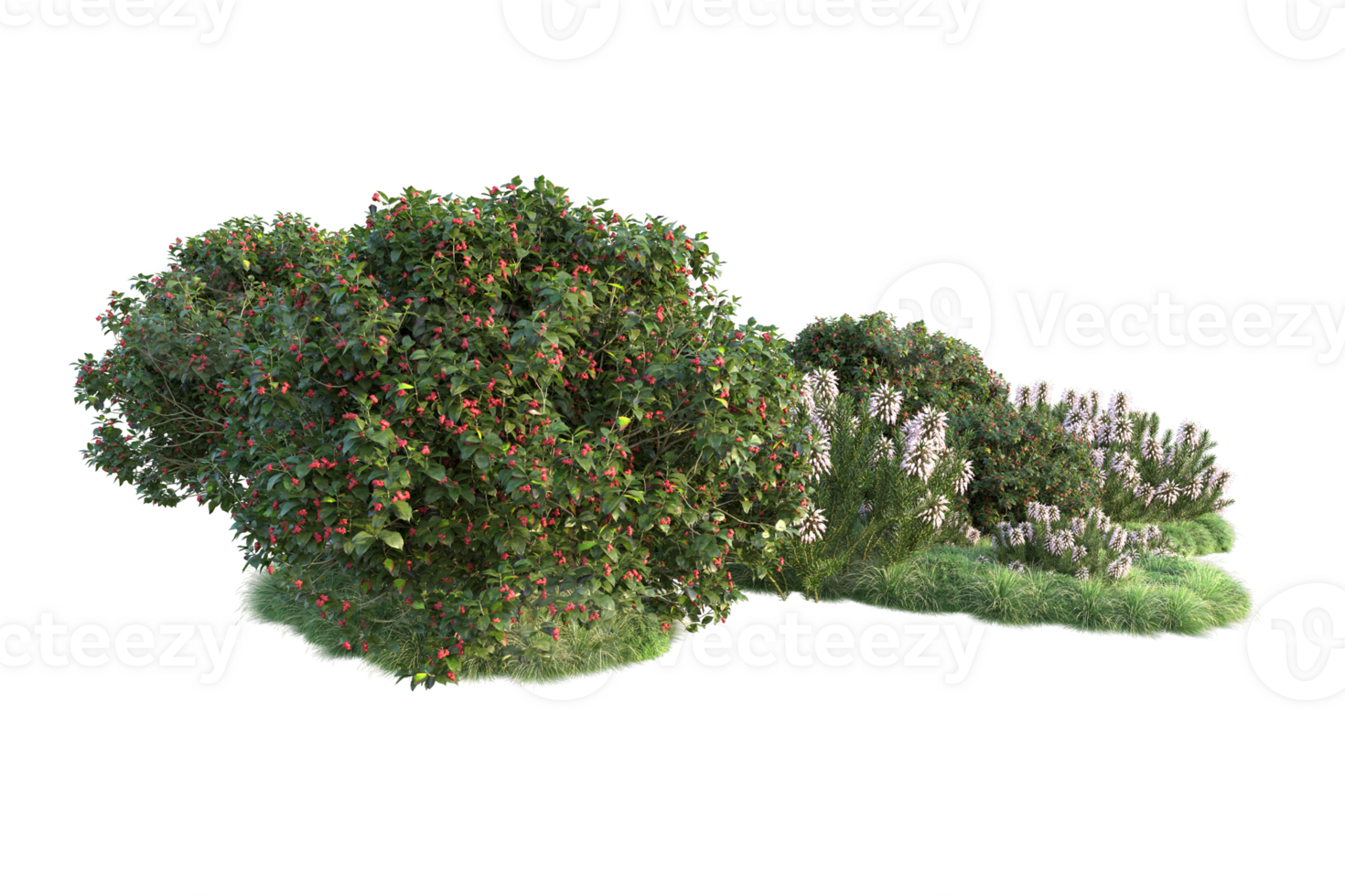 Tropical forest isolated on transparent background. 3d rendering - illustration png